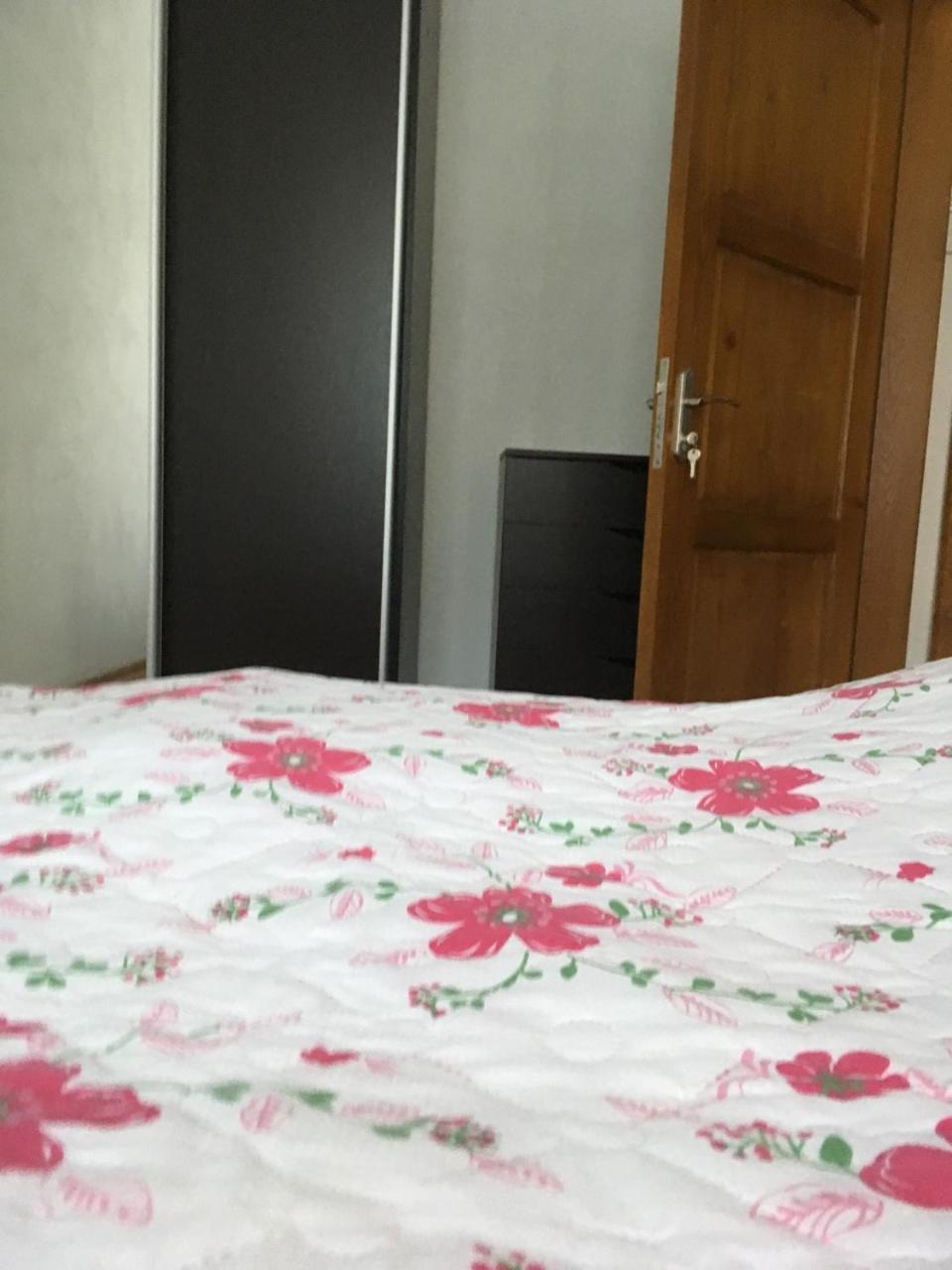 Apartaments In Karpaty Mizhhirya  Екстер'єр фото