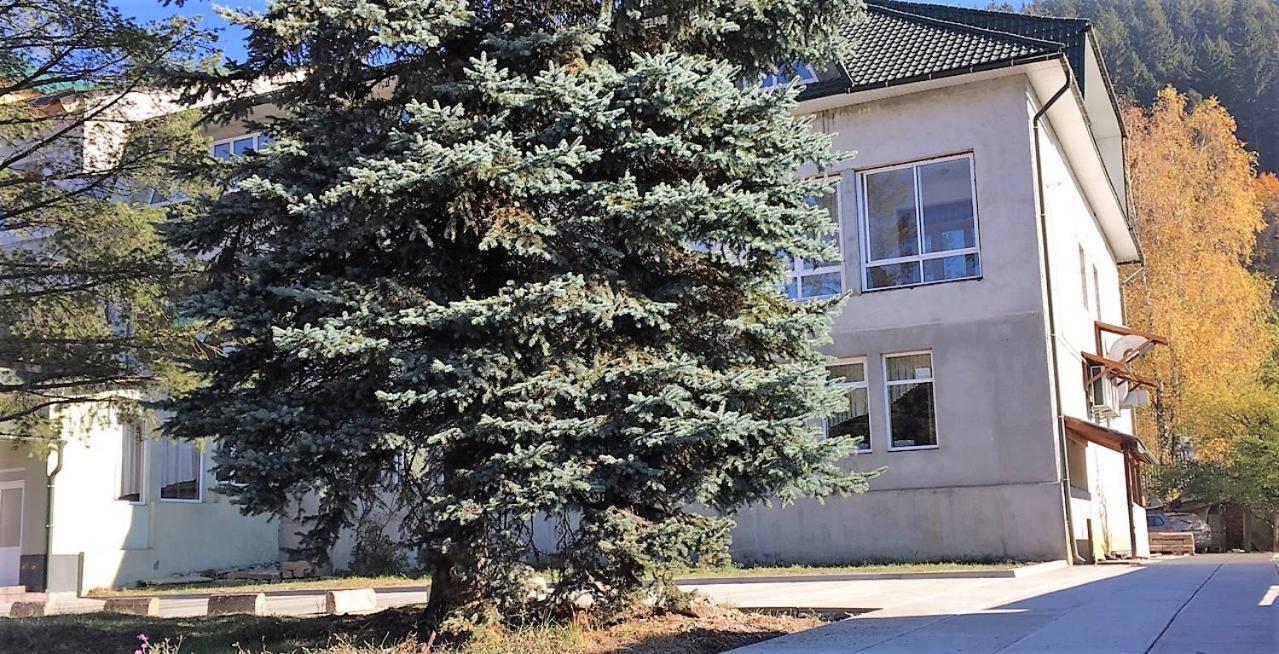 Apartaments In Karpaty Mizhhirya  Екстер'єр фото